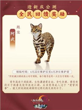 天龙八部私服闭关花屏